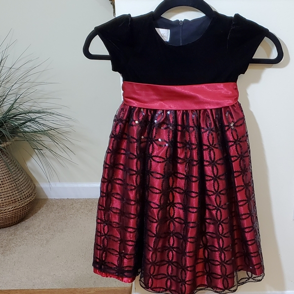 Cinderella Velvet Embroidered Girls Dress - Picture 4 of 8